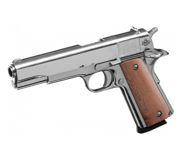 RI 1911GI STD FS 45ACP 8RD 5" NKL - for sale