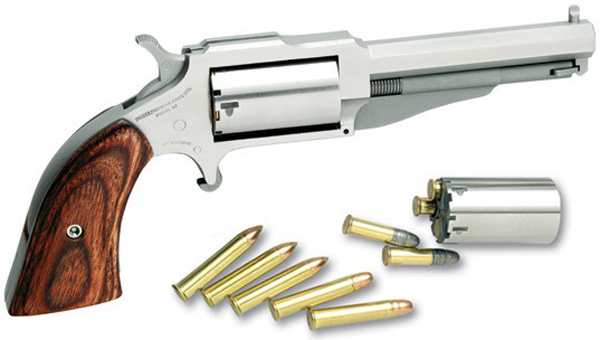 NAA 22LR/MAG 3" THE EARL - for sale