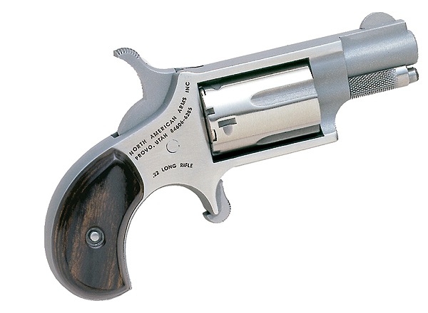 NAA 22LR 1-5/8" - for sale
