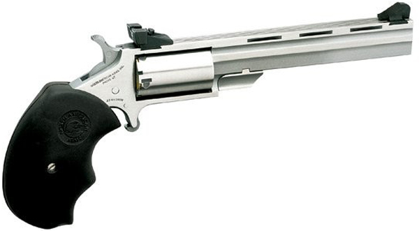 NAA 22LR 4" MINI-MASTER TARGET - for sale