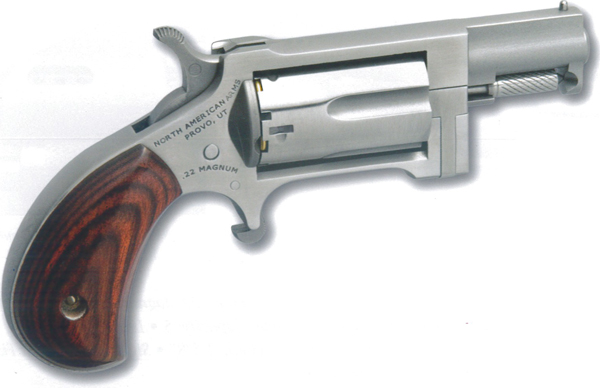 NAA 22LR/MAG SWING OUT SIDEWINDER - for sale